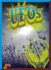 Ufos (Strange? ? But True? )