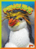 Penguins (Wild Animal Kingdom)