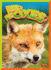 Red Foxes (Wild Animal Kingdom)