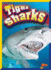 Tiger Sharks (Swimming With Sharks)