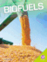Biofuels (Alternative Energy)