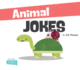 Animal Jokes (Big Buddy Jokes)