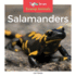 Salamanders (Swamp Animals)