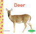 Deer