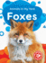 Foxes