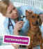 Veterinarians (Real-Life Superheroes)
