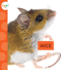 El Raton (Mice) (Spot Backyard Animals)