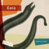 Eels (Living Wild)