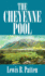 The Cheyenne Pool (a Double D Western)
