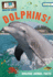 Dolphins!