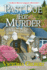 Past Due for Murder (a Blue Ridge Library Mystery)