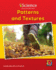 Patterns and Textures (Iscience, Level B)