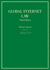 Global Internet Law