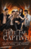 Hell Fae Captive: A Dark Fantasy Romance