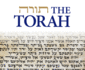 The Torah