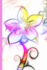 Internet Password Logbook: Discreet Password Journal | Password Log | Keeper | Account and Password Book