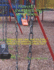 Primary Composition Notebook: Dashed Mid Line and Picture Space for Kindergarten and Creative Writing Practice (Early Childhood Playgroup Education)
