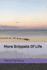 More Snippets Of Life