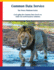 Common Data Service: The Power Platform Series