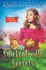 Snickerdoodle Secrets 20 Murder in the Mix