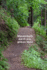 Wanderbuch durch den gr�nen Wald