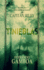 Tinieblas (Las Aventuras Del Capit�n Riley) (Spanish Edition)