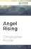Angel Rising (Angel Fehrbach, 6)