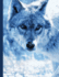Blue Winter Wolf Composition Notebook, College Ruled: Lined Student Exercise Book