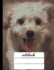 Notebook: Toy Poodle Journal Quad Ruled | 4x4 | Cute Graphing Composition Notebook | Soft Cover |