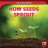 How Seeds Sprout
