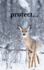 Protect...