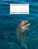 Composition Notebook: Wide Ruled Dolphin Water Cute Composition Notebook, Girl Boy School Notebook, College Notebooks, Composition Book, 8.5" X 11"...Notebooks for Home School Boys and Girls)
