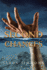 Second Chances