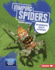 Jumping Spiders Format: Library Bound