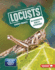 Locusts Format: Library Bound
