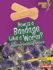 How is a Bandage Like a Worm? Format: Library Bound