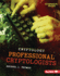 Professional Cryptologists (Cryptology (Alternator Books �))