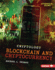 Blockchain and Cryptocurrency Format: Library Bound