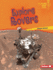 Explore Rovers (Lightning Bolt Books �-Exploring Space)