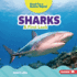 Sharks Format: Library Bound