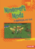 Minecraft Mods: an Unofficial Kids' Guide (Lightning Bolt Books �? Minecraft 101)