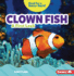 Clown Fish Format: Paperback