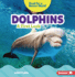 Dolphins Format: Paperback
