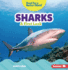 Sharks: a First Look (Read About Ocean Animals (Read for a Better World �))