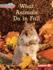 What Animals Do in Fall Format: Library Bound