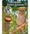Deciduous Forest Animals