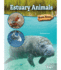 Rourke Educational Media Biome Beasts Estuary Animals Reader