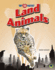 Rourke Educational Media Top Ten: Fastest Land Animals