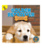 Top Puppies: Golden Retriever Puppies-Children's Book About Golden Retrievers, Preschool-Grade 2 (16 Pgs)