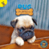 Top Puppies: Pug Puppies? Rourke Nonfiction Reader, Grades Pk? 2